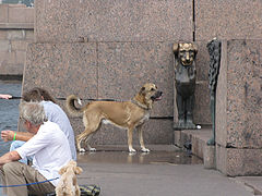 photo "Complexities of identification"