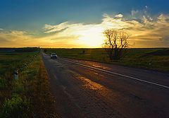 photo "***"