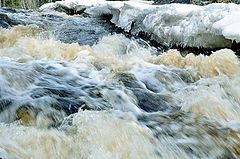 photo "Purling brook"