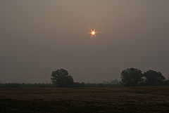 photo "The dim sun of August"