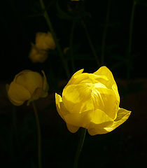 фото "///"
