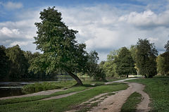 photo "***"