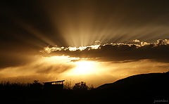 photo "***"