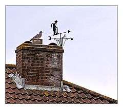photo "Weather Vane"