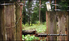 фото "New Russian Road"