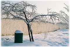 photo "other"