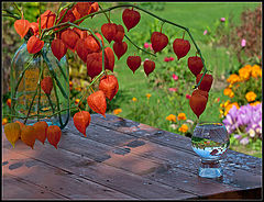 фото "про осень на даче"