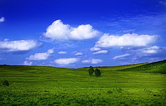 photo "***"