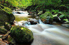 photo "my country"