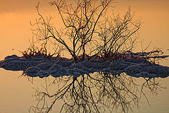 photo "Dead Sea at dawn (fragment)"
