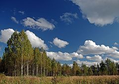 фото "Осенний день"