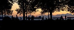 photo "People, ships and trees"
