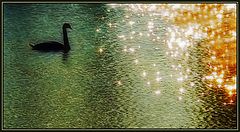 photo "Dream"