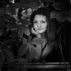 фото "..."