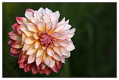 фото "to Galina"