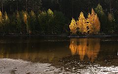 фото "Золотой остров.."