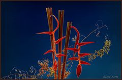 photo "***"