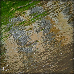 фото "***"