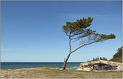 фото "Пейзаж с морем"