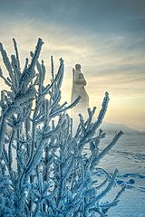 фото "На страже границы."