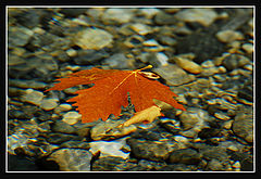 photo "***"