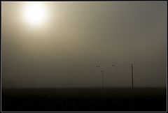 photo "Morning mist"