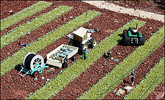 photo "Work in the farm."