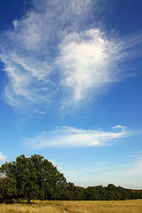 photo "пейзаж небо"