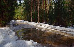 фото "О будущей весне"