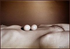 photo "eggs"