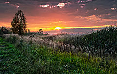 photo "***"