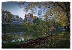 photo "autumn landscape"