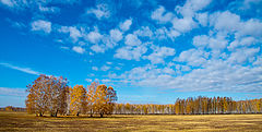 photo "***"