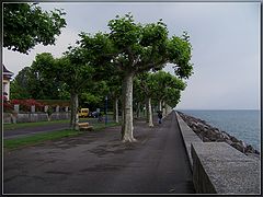 photo "***"