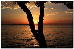 photo "***"