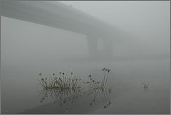 photo "***"
