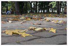 фото "Осень"