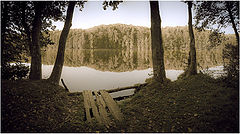 photo "***"