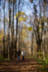 фото "Битцевский лесопарк"