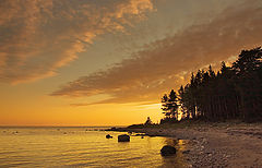 photo "На вечерней зорьке"