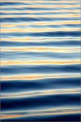фото "Silk"