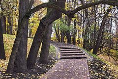 фото "Предзимье-2"