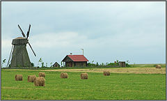 фото "Мельница"
