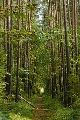 photo "дорога"