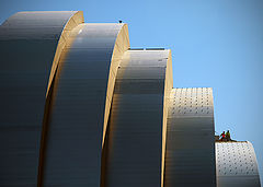 фото "step by step"