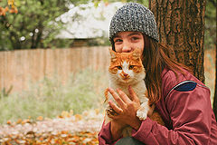 photo "Stray cats, stray kids"