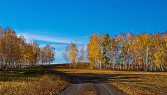 photo "***"