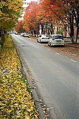 фото "Уличная осень"