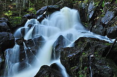photo "***"