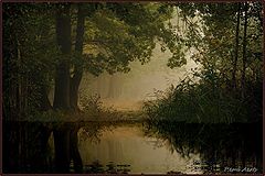 фото "good morning"